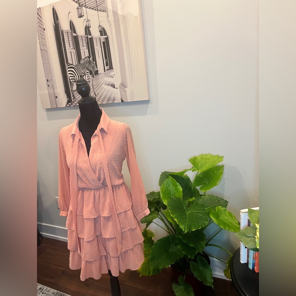 Zara Blush Pink Skater Dress
